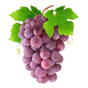العنب