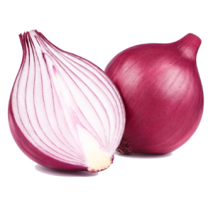 البصل